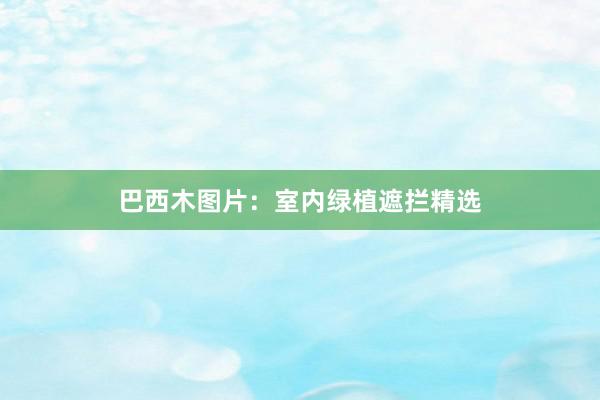 巴西木图片：室内绿植遮拦精选