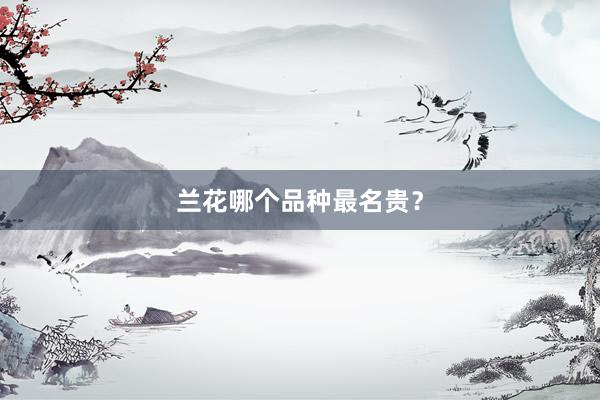 兰花哪个品种最名贵？