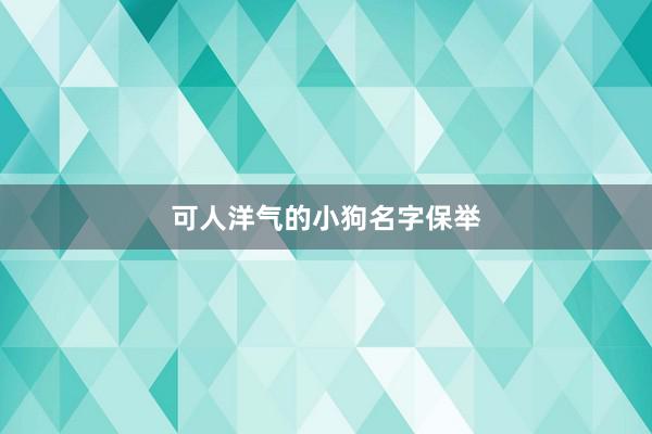 可人洋气的小狗名字保举